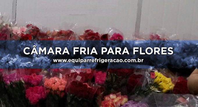 Câmara Fria para Flores