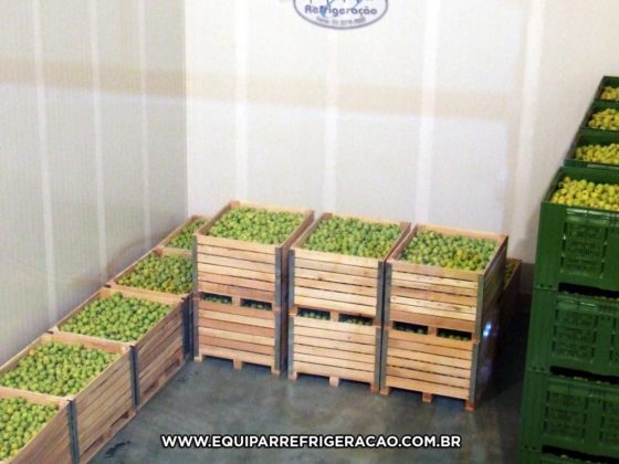 Câmara Fria para Frutas