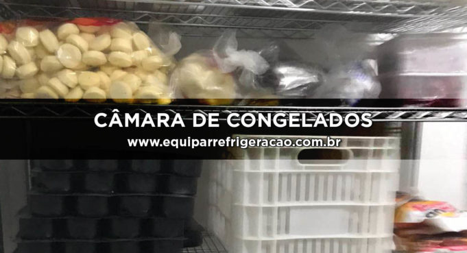 Câmara de Congelados - Equipar Refrigeração