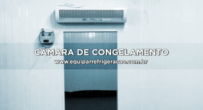 Câmara de Congelamento ou Câmara Fria de Congelamento