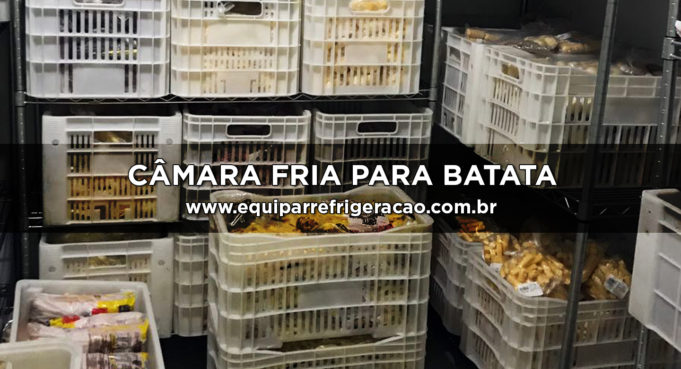 Câmara Fria para Batata Semente