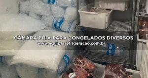 Câmara Fria para Congelados Diversos