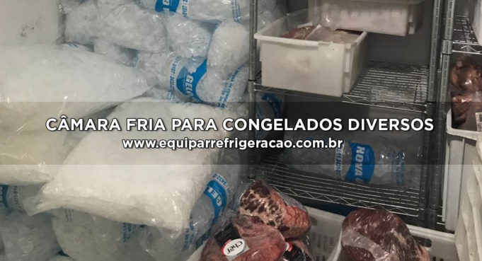 Câmara Fria para Congelados Diversos