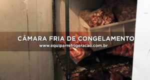 Câmara Fria de Congelamento