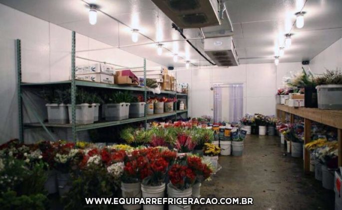 Câmara Fria para Flores - Equipar Refrigeração