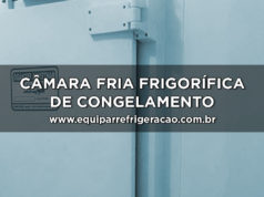 Câmara fria frigorífica de congelamento