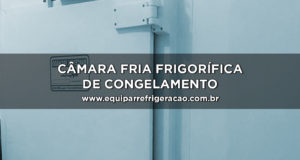 Câmara fria frigorífica de congelamento