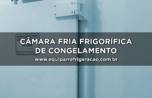 Câmara fria frigorífica de congelamento