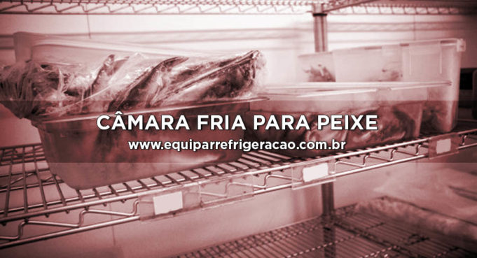 Câmara Fria para Peixe - Equipar Refrigeração