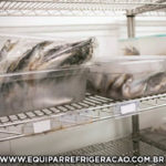 Câmara Fria para Pescado