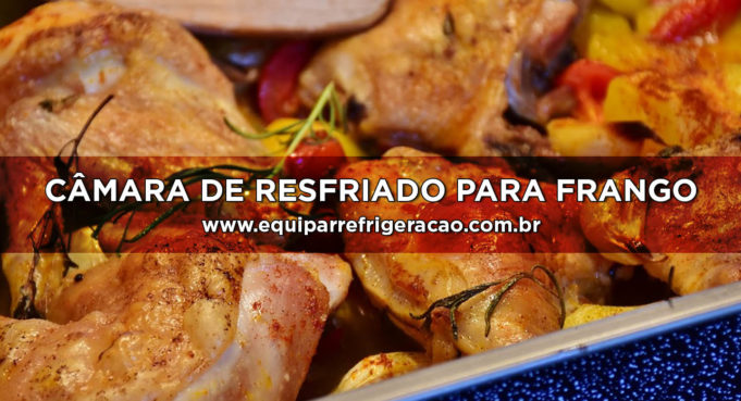 Câmara de Resfriado para Frango ou Câmara Fria para Frango Câmara de Resfriado para Frango ou Câmara Fria para Frango