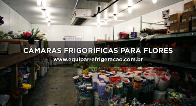 Câmaras Frigoríficas para Flores - Equipar Refrigeração